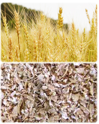 �����ӂ���