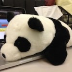 381176_312040492150167_100000326578732_1032893_2057730624_n